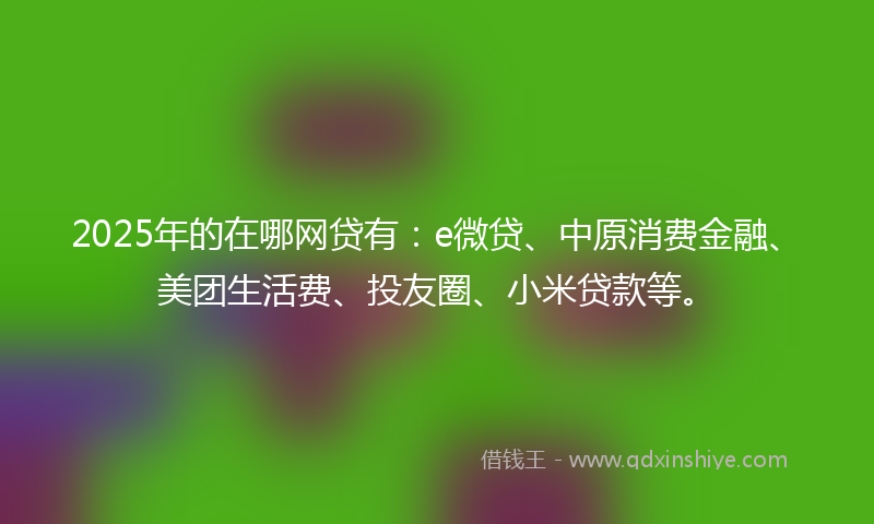 2025年的在哪网贷有：e微贷、中原消费金融、美团生活费、投友圈、小米贷款等。