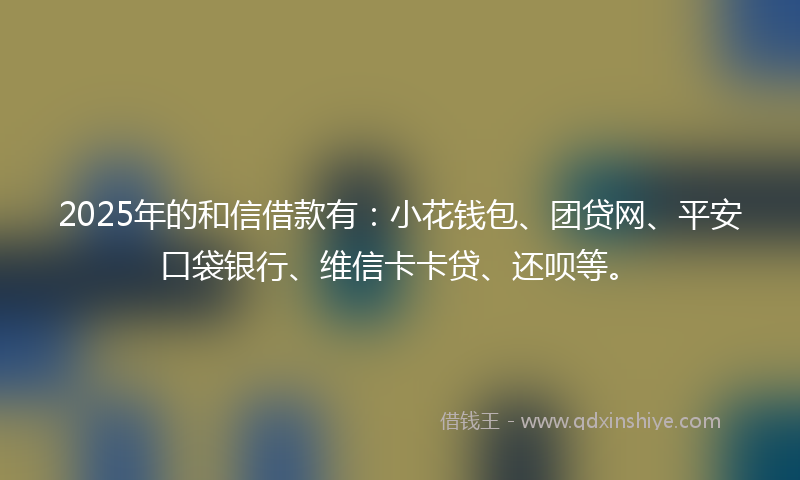 2025年的和信借款有：小花钱包、团贷网、平安口袋银行、维信卡卡贷、还呗等。