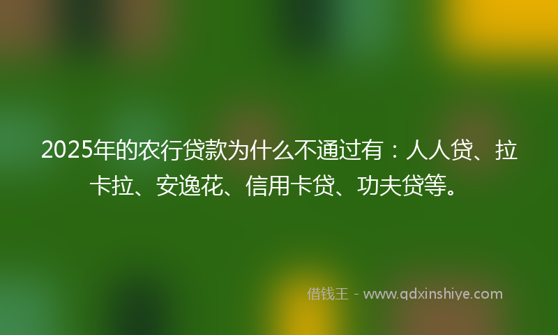 2025年的农行贷款为什么不通过有：人人贷、拉卡拉、安逸花、信用卡贷、功夫贷等。