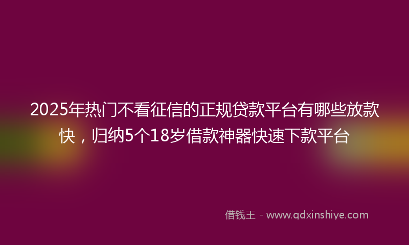 2025年热门不看征信的正规贷款平台有哪些放款快，归纳5个18岁借款神器快速下款平台