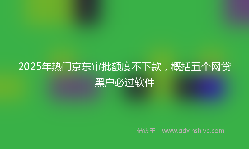 2025年热门京东审批额度不下款，概括五个网贷黑户必过软件