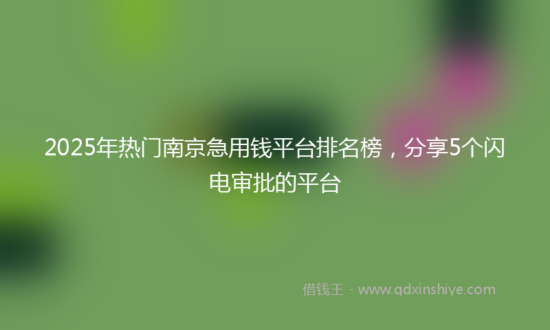 2025年热门南京急用钱平台排名榜，分享5个闪电审批的平台