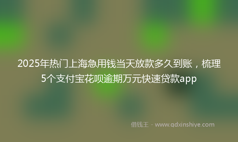 2025年热门上海急用钱当天放款多久到账，梳理5个支付宝花呗逾期万元快速贷款app