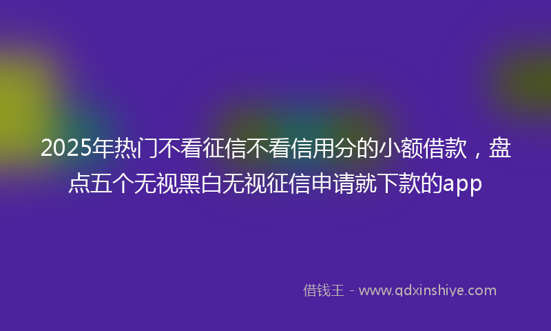 2025年热门不看征信不看信用分的小额借款，盘点五个无视黑白无视征信申请就下款的app