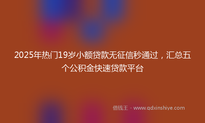 2025年热门19岁小额贷款无征信秒通过，汇总五个公积金快速贷款平台
