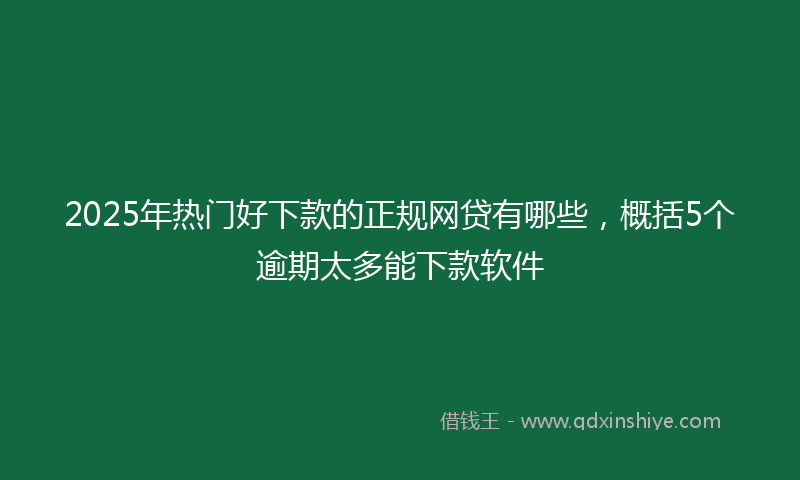 2025年热门好下款的正规网贷有哪些，概括5个逾期太多能下款软件