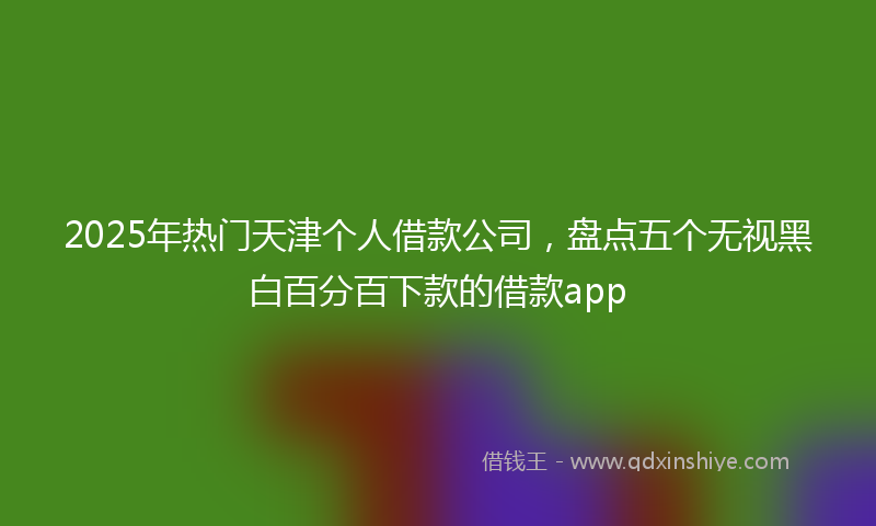 2025年热门天津个人借款公司，盘点五个无视黑白百分百下款的借款app