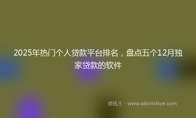 2025年热门个人贷款平台排名，盘点五个12月独家贷款的软件