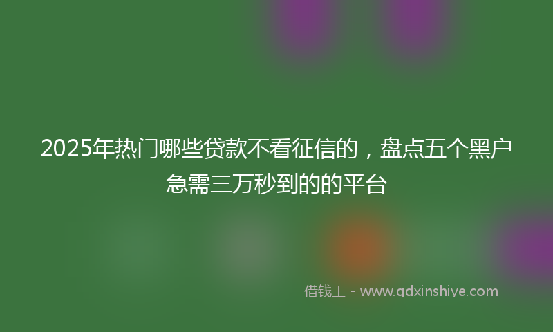 2025年热门哪些贷款不看征信的，盘点五个黑户急需三万秒到的的平台