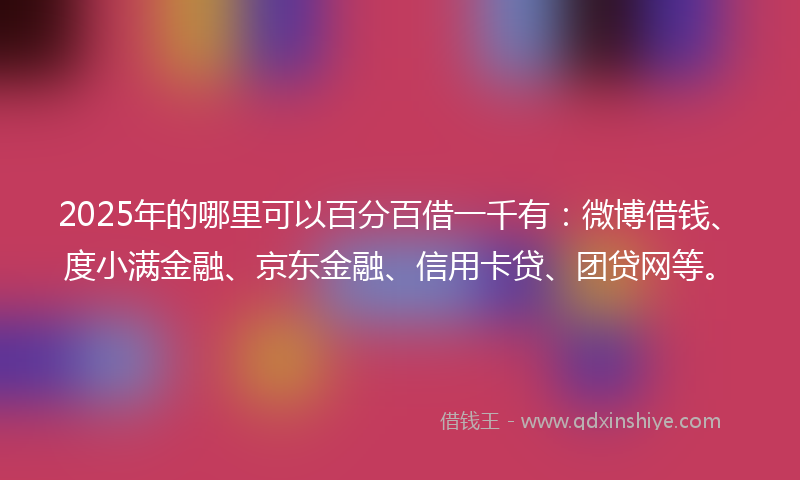 2025年的哪里可以百分百借一千有：微博借钱、度小满金融、京东金融、信用卡贷、团贷网等。