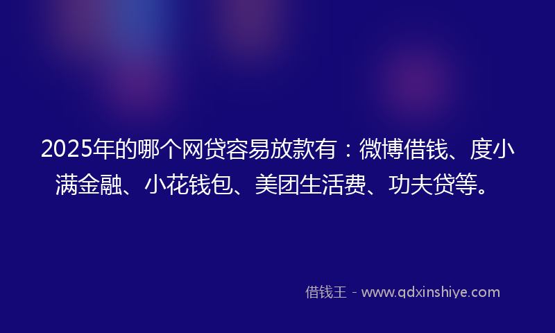 2025年的哪个网贷容易放款有：微博借钱、度小满金融、小花钱包、美团生活费、功夫贷等。