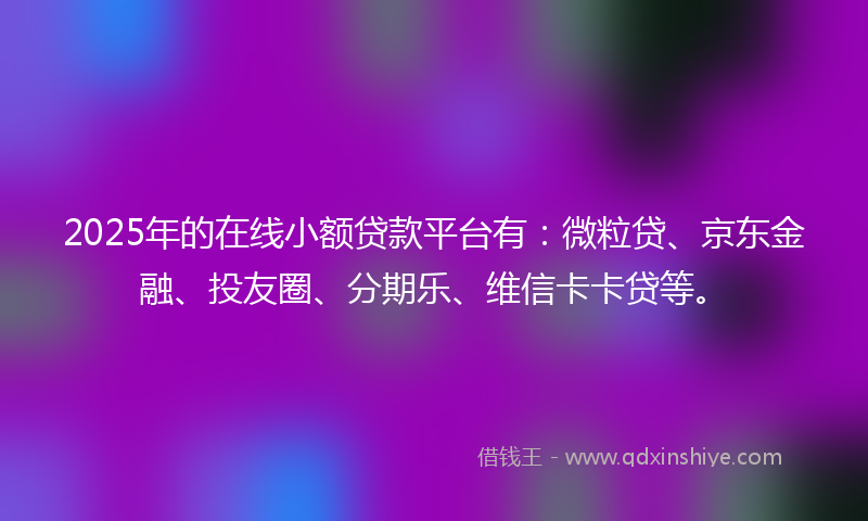 2025年的在线小额贷款平台有：微粒贷、京东金融、投友圈、分期乐、维信卡卡贷等。