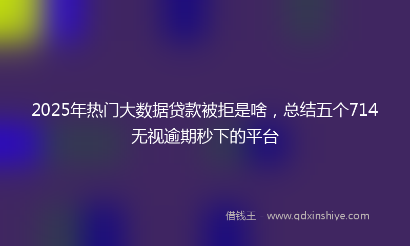 2025年热门大数据贷款被拒是啥，总结五个714无视逾期秒下的平台