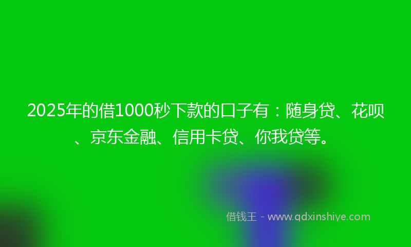 2025年的借1000秒下款的口子有:随身贷、花呗、京东金融、信用卡贷、你我贷等。