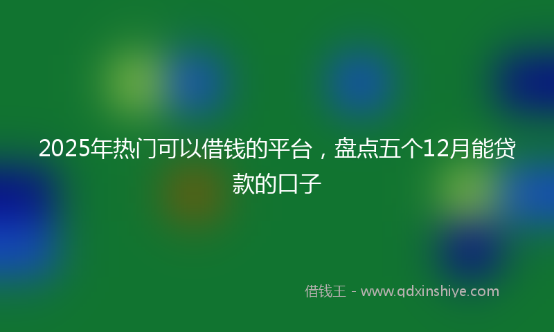 2025年热门可以借钱的平台，盘点五个12月能贷款的口子