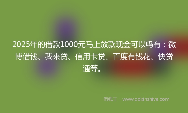 2025年的借款1000元马上放款现金可以吗有：微博借钱、我来贷、信用卡贷、百度有钱花、快贷通等。
