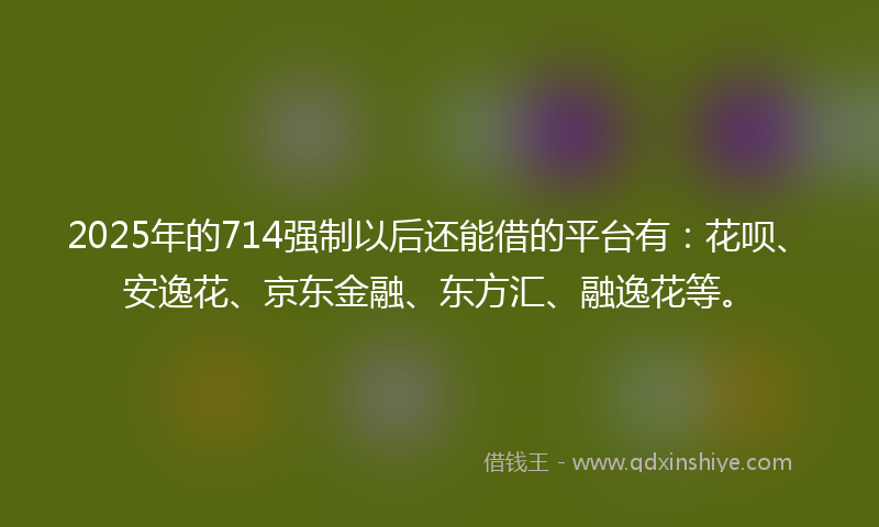 2025年的714强制以后还能借的平台有：花呗、安逸花、京东金融、东方汇、融逸花等。