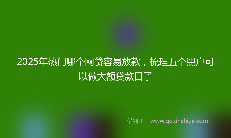 2025年热门哪个网贷容易放款，梳理五个黑户可以做大额贷款口子