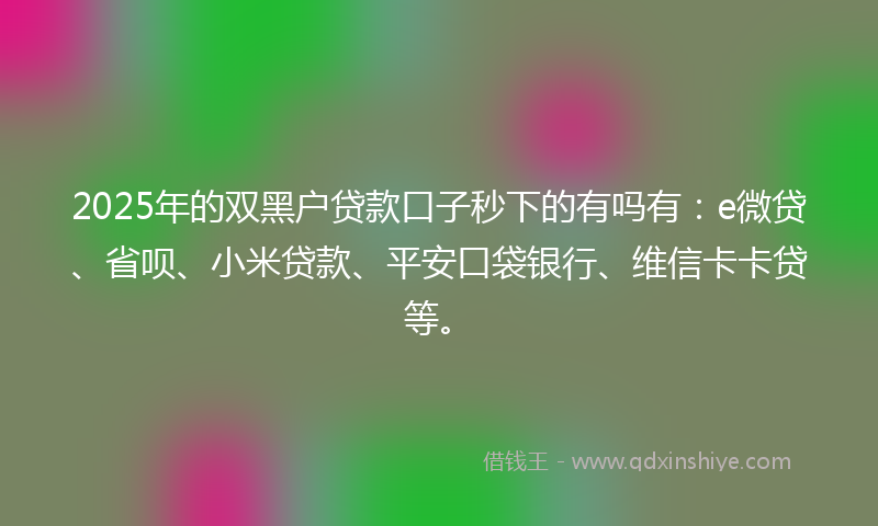 2025年的双黑户贷款口子秒下的有吗有：e微贷、省呗、小米贷款、平安口袋银行、维信卡卡贷等。