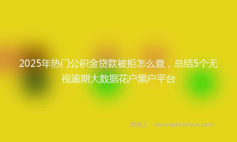 2025年热门公积金贷款被拒怎么查，总结5个无视逾期大数据花户黑户平台