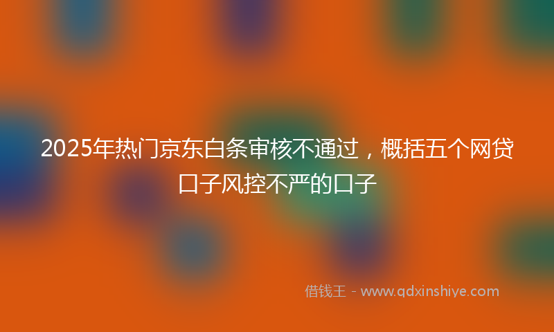 2025年热门京东白条审核不通过，概括五个网贷口子风控不严的口子