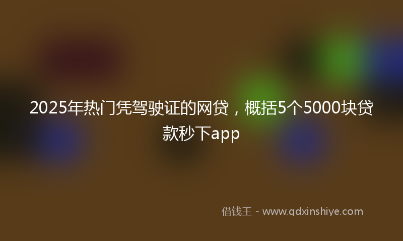 2025年热门凭驾驶证的网贷，概括5个5000块贷款秒下app
