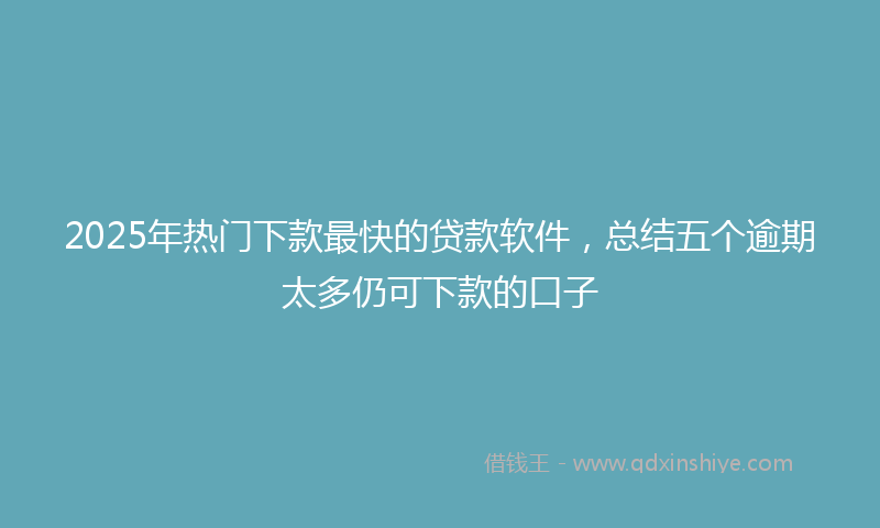 2025年热门下款最快的贷款软件，总结五个逾期太多仍可下款的口子