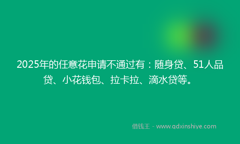 2025年的任意花申请不通过有：随身贷、51人品贷、小花钱包、拉卡拉、滴水贷等。
