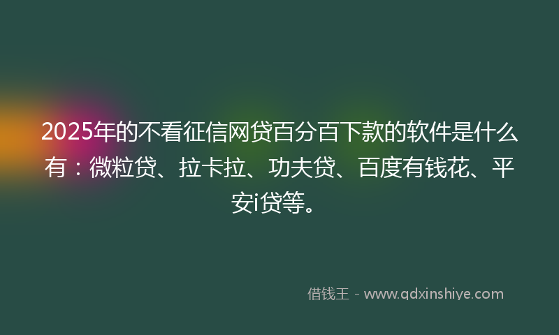 2025年的不看征信网贷百分百下款的软件是什么有：微粒贷、拉卡拉、功夫贷、百度有钱花、平安i贷等。