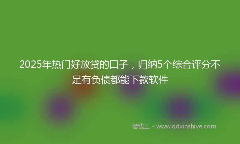 2025年热门好放贷的口子，归纳5个综合评分不足有负债都能下款软件