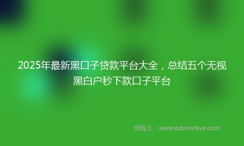 2025年最新黑口子贷款平台大全，总结五个无视黑白户秒下款口子平台