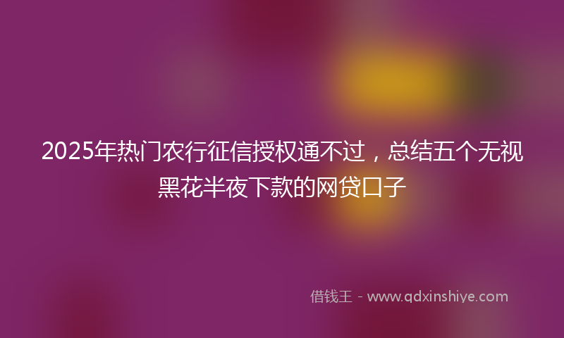 2025年热门农行征信授权通不过，总结五个无视黑花半夜下款的网贷口子