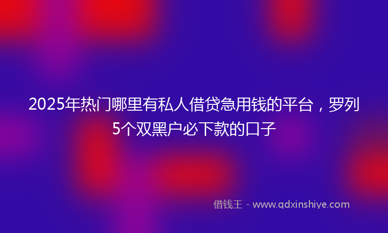 2025年热门哪里有私人借贷急用钱的平台，罗列5个双黑户必下款的口子