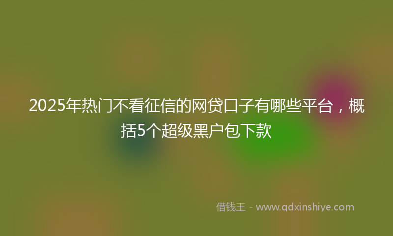 2025年热门不看征信的网贷口子有哪些平台，概括5个超级黑户包下款