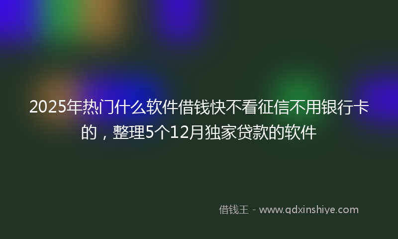 2025年热门什么软件借钱快不看征信不用银行卡的，整理5个12月独家贷款的软件