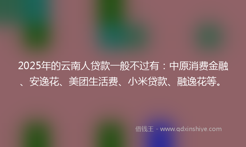 2025年的云南人贷款一般不过有：中原消费金融、安逸花、美团生活费、小米贷款、融逸花等。