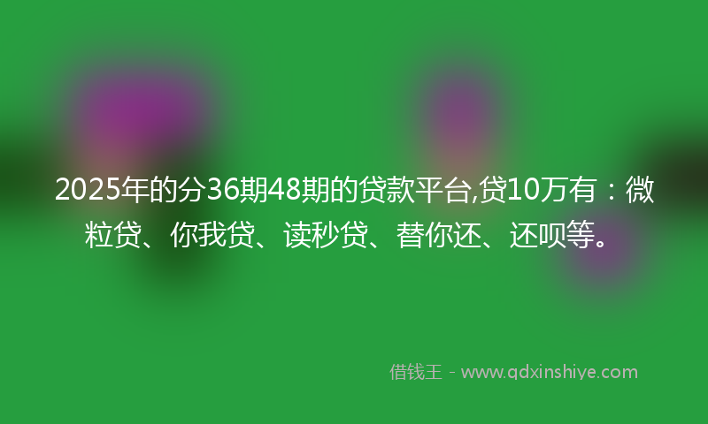 2025年的分36期48期的贷款平台,贷10万有：微粒贷、你我贷、读秒贷、替你还、还呗等。
