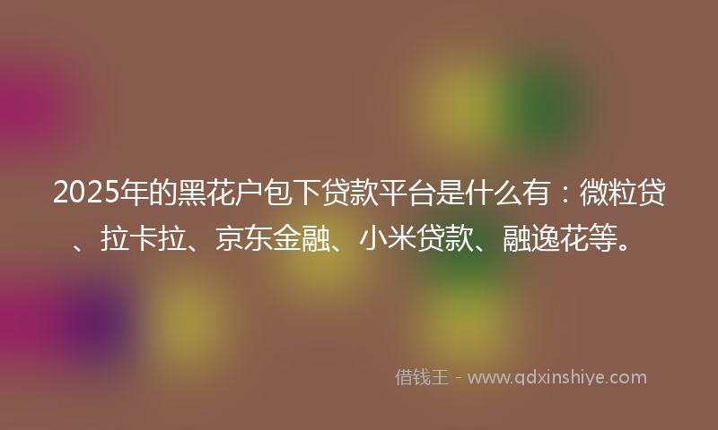 2025年的黑花户包下贷款平台是什么有：微粒贷、拉卡拉、京东金融、小米贷款、融逸花等。