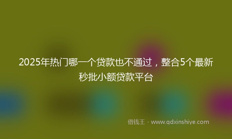 2025年热门哪一个贷款也不通过，整合5个最新秒批小额贷款平台