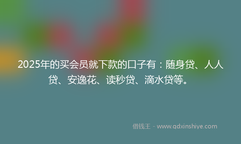 2025年的买会员就下款的口子有：随身贷、人人贷、安逸花、读秒贷、滴水贷等。
