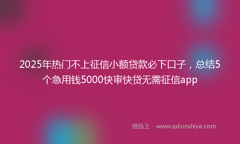 2025年热门不上征信小额贷款必下口子，总结5个急用钱5000快审快贷无需征信app