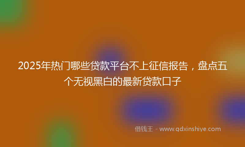 2025年热门哪些贷款平台不上征信报告，盘点五个无视黑白的最新贷款口子