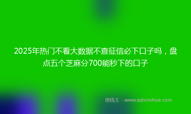 2025年热门不看大数据不查征信必下口子吗，盘点五个芝麻分700能秒下的口子