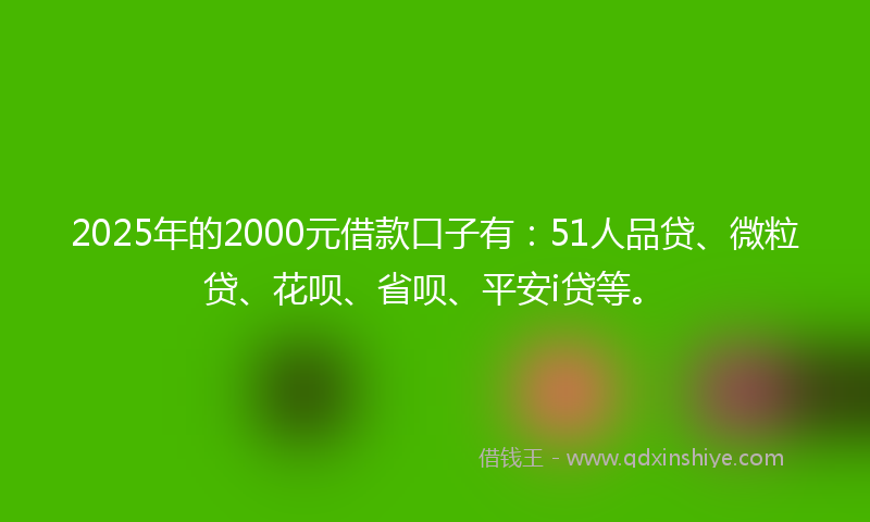 2025年的2000元借款口子有：51人品贷、微粒贷、花呗、省呗、平安i贷等。