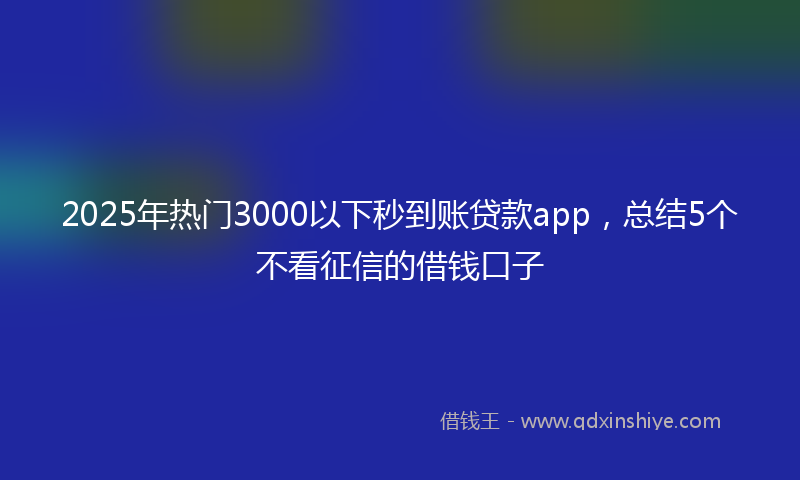 2025年热门3000以下秒到账贷款app，总结5个不看征信的借钱口子
