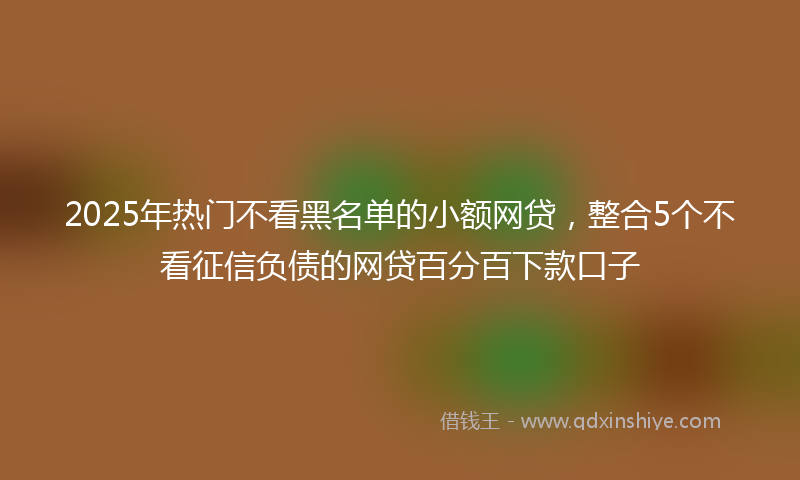 2025年热门不看黑名单的小额网贷，整合5个不看征信负债的网贷百分百下款口子
