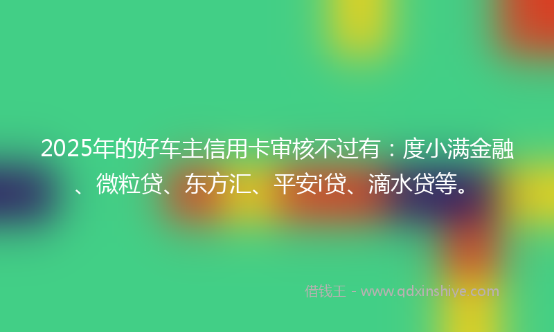 2025年的好车主信用卡审核不过有：度小满金融、微粒贷、东方汇、平安i贷、滴水贷等。
