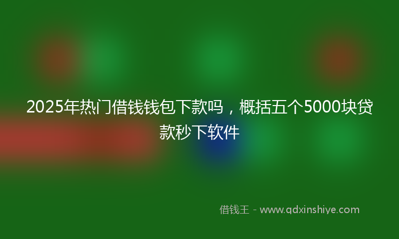 2025年热门借钱钱包下款吗，概括五个5000块贷款秒下软件