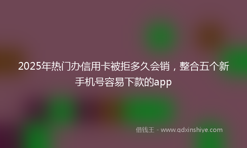 2025年热门办信用卡被拒多久会销，整合五个新手机号容易下款的app