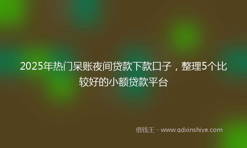 2025年热门呆账夜间贷款下款口子，整理5个比较好的小额贷款平台